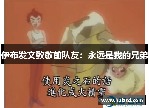 伊布发文致敬前队友：永远是我的兄弟