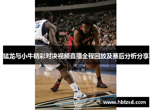 猛龙与小牛精彩对决视频直播全程回放及赛后分析分享